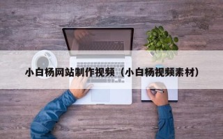 临朐小白杨网站制作视频（小白杨视频素材）